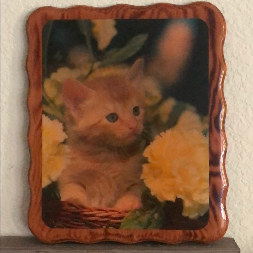 🔥Wooden kitten photo